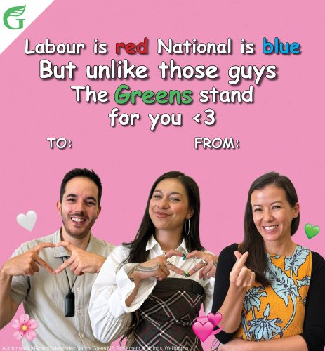 Carousel post from nzgreenparty.