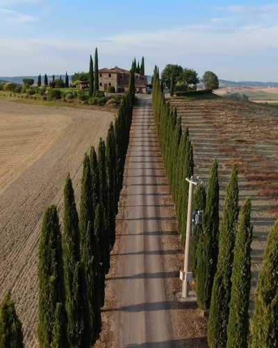 Video post from bertsmegamall.