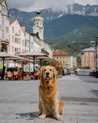 Carousel post from innsbrucktourism.