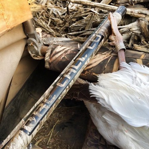 Photo post from northernskiesoutfitters.