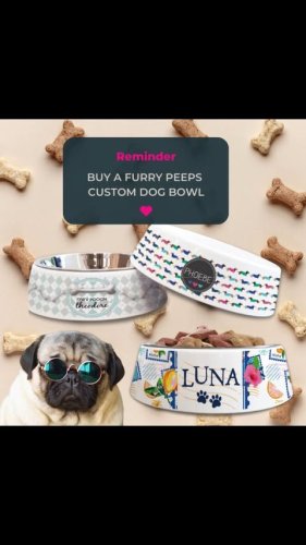 Video post from furrypeeps.
