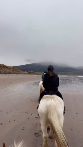 Video post from dinglepeninsulatourism.