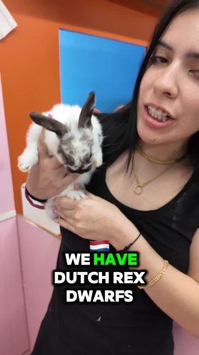 Video post from njexoticpets.