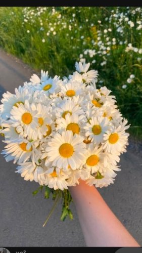 Video post from nashika_398.