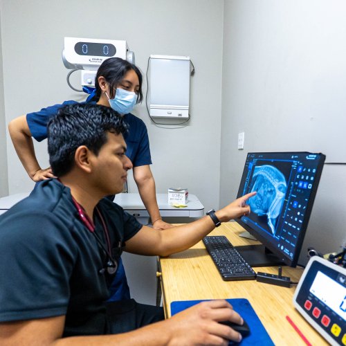 Photo post from medicalpettj.