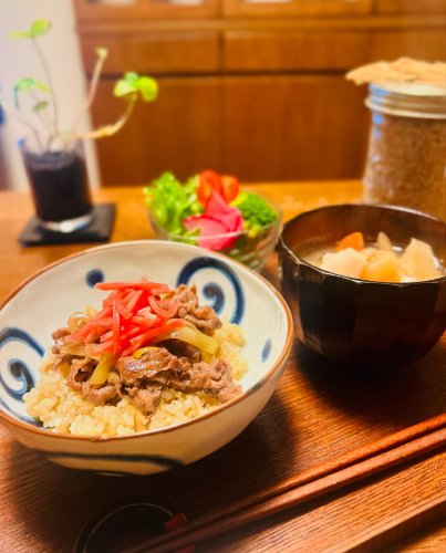 発芽玄米炊飯器 DELIFUL LIFE 「はつが炊き」 3合炊 ELM-102