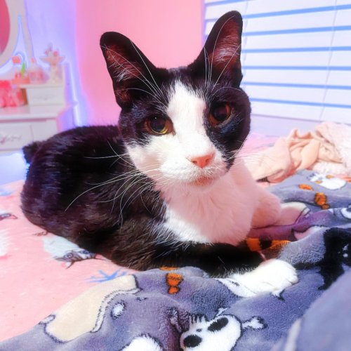 Photo post from margaritabloom.