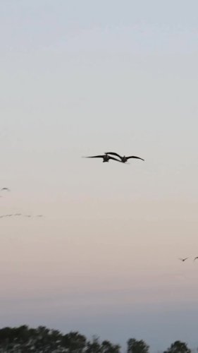 Video post from northernskiesoutfitters.