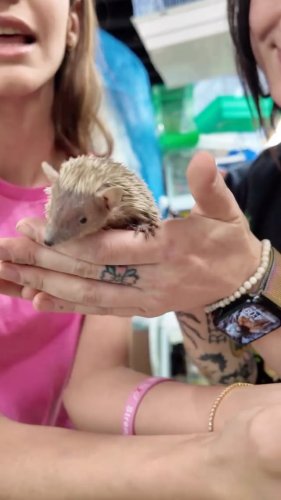 Video post from njexoticpets.