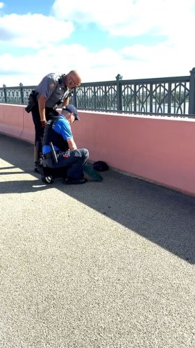 Video post from daytonabeachpolice.