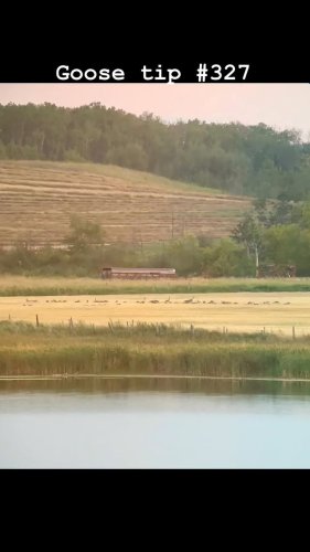 Video post from northernskiesoutfitters.