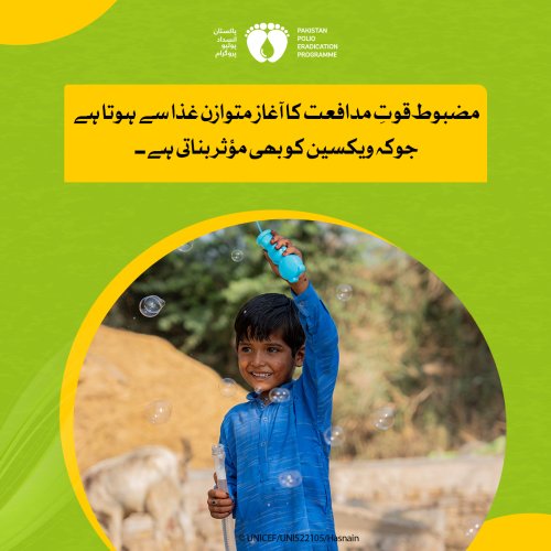 Photo post from pakfightspolio.