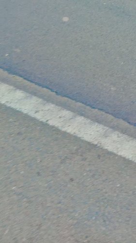 Video post from rajibrohan10.