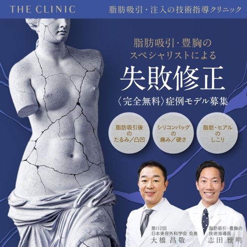 格安saleスタート ボ THE CLINIC Lサイズ（脂肪吸引・豊 ガードル 着圧 ザクリニック トップス