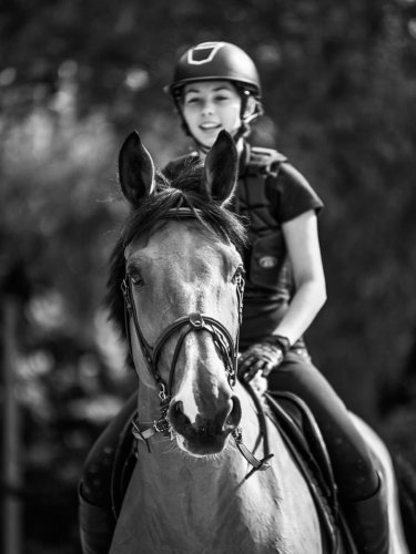 Photo post from dxdequestrian.
