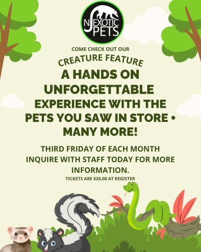 Photo post from njexoticpets.