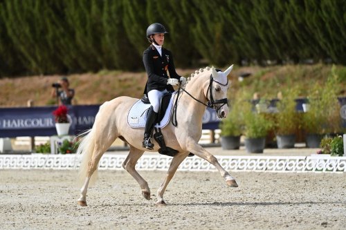 Carousel post from fei_global.