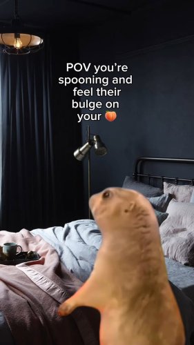 Video post from lovehoneyofficial.