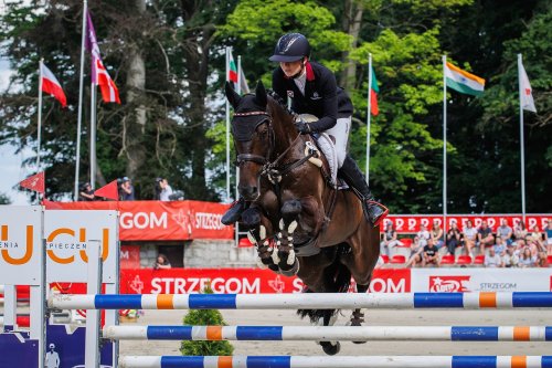 Photo post from fei_global.