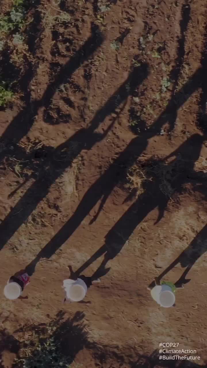 Video post from unops_official.