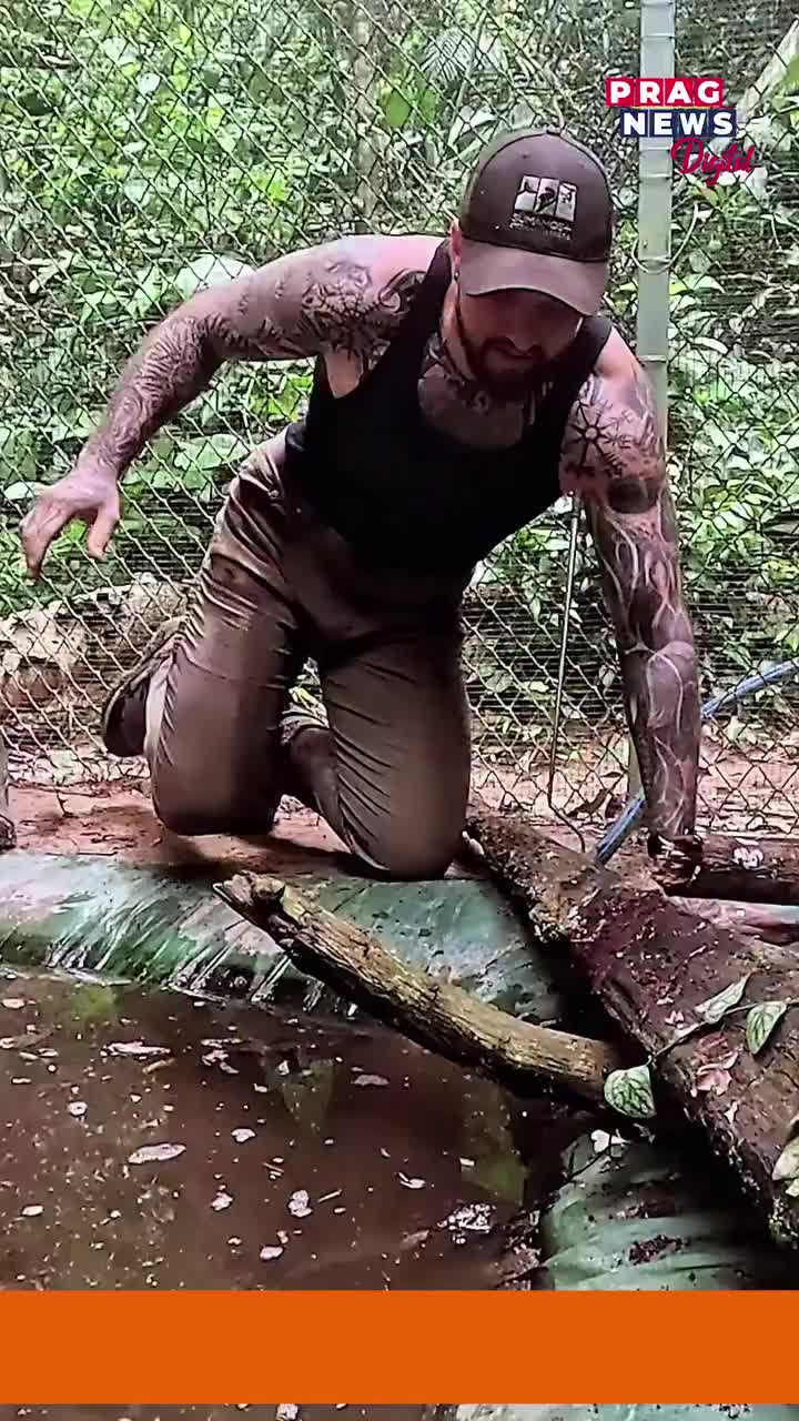 Video post from pragnewsofficial.