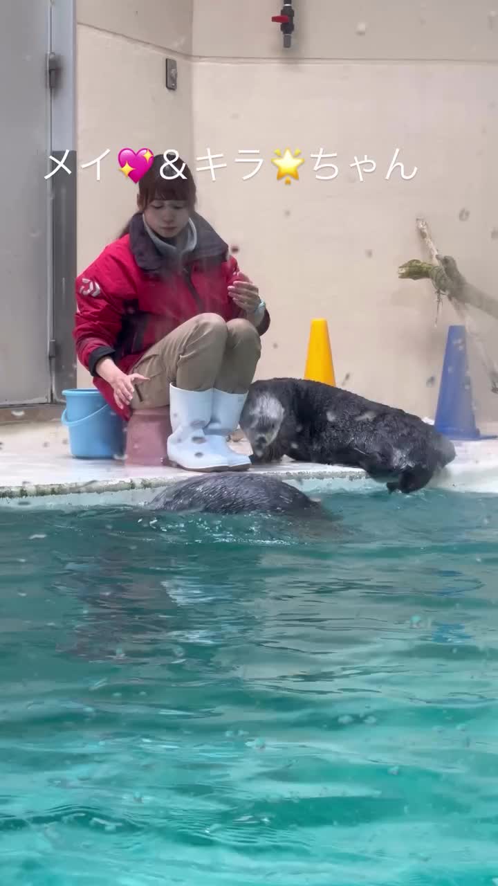 Video post.