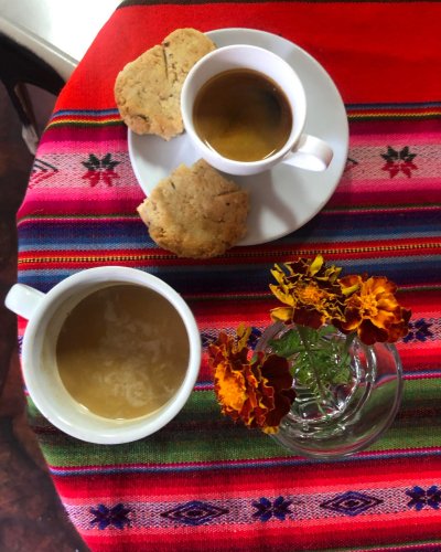 Photo post from equianocoffee.