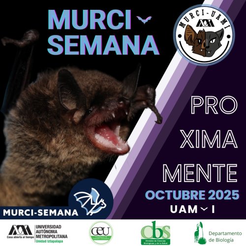 Photo post from murci_uami.