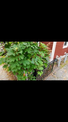 Video post from wisdomroofingusa.