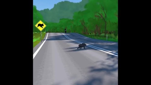 Video post from alburycity.