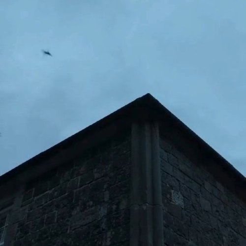 Video post from mugdockcountrypark.