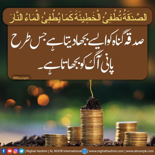 Photo post from nighathashmi.