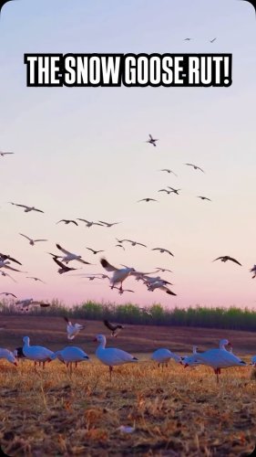 Video post from northernskiesoutfitters.