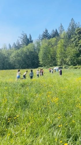 Video post from hungryhollowfarm.