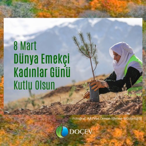Photo post from dogavecevrevakfi.