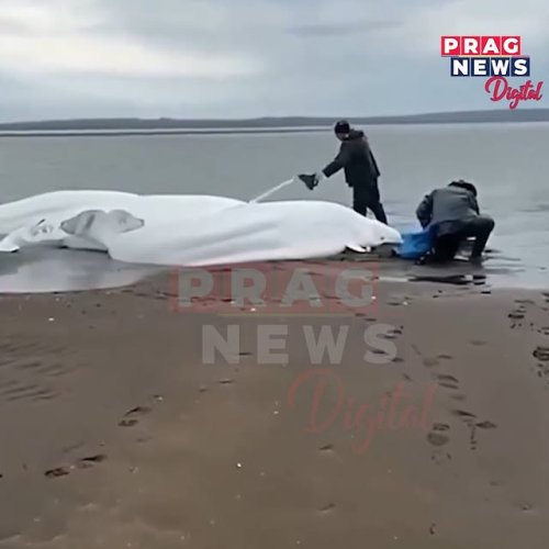 Video post from pragnewsofficial.