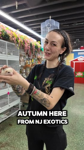 Video post from njexoticpets.