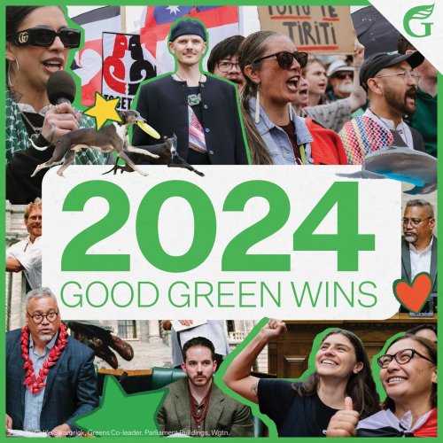 Carousel post from nzgreenparty.