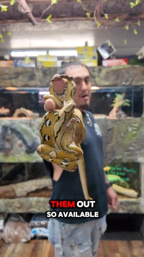 Video post from njexoticpets.