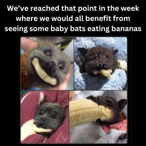 Photo post from uwswcd.