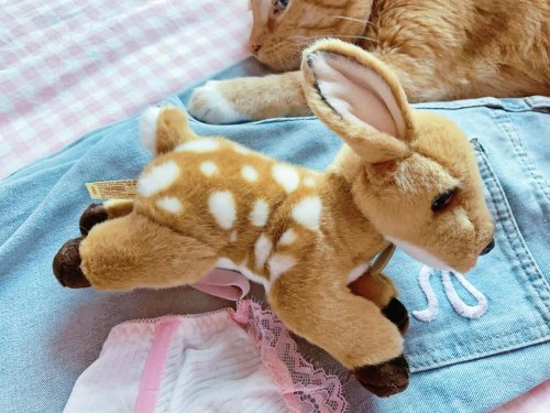 Photo post from margaritabloom.