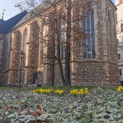 Photo post from visit.magdeburg.