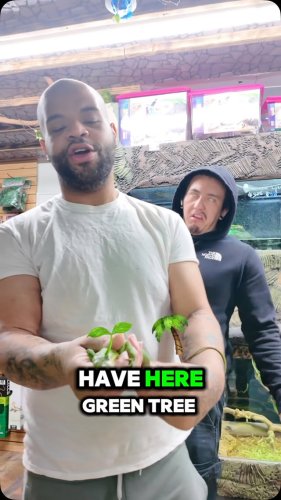 Video post from njexoticpets.
