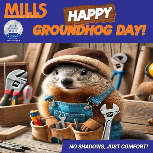 Photo post from millshvac.