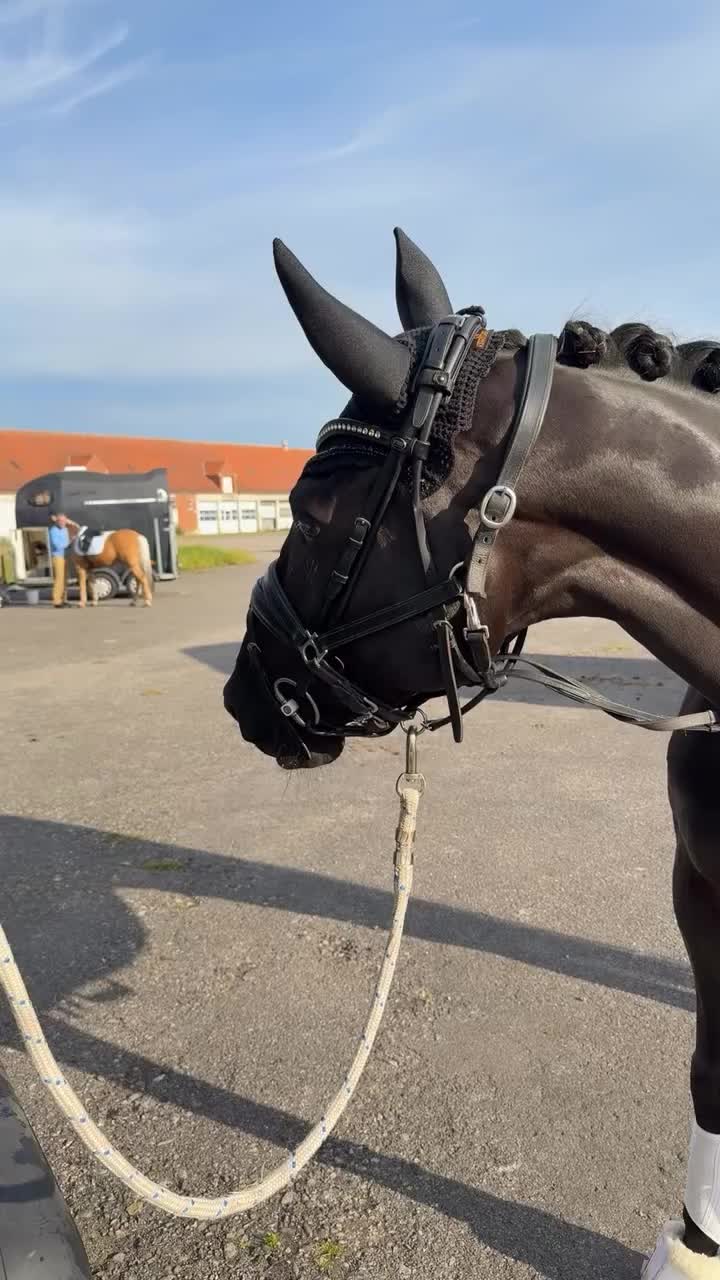 Video post from michellekolding.
