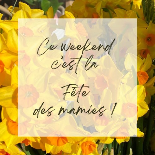 Photo post from gloriosa.artisan.fleuriste.
