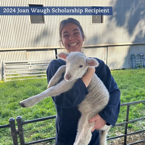 Photo post from taraanglicanschoolforgirls.