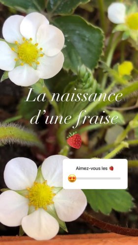 Video post from delanutritionalaserenite.
