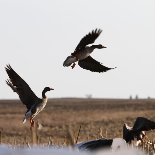 Photo post from northernskiesoutfitters.