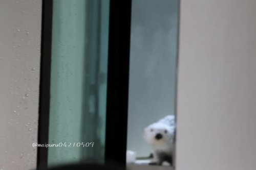 PostPhoto